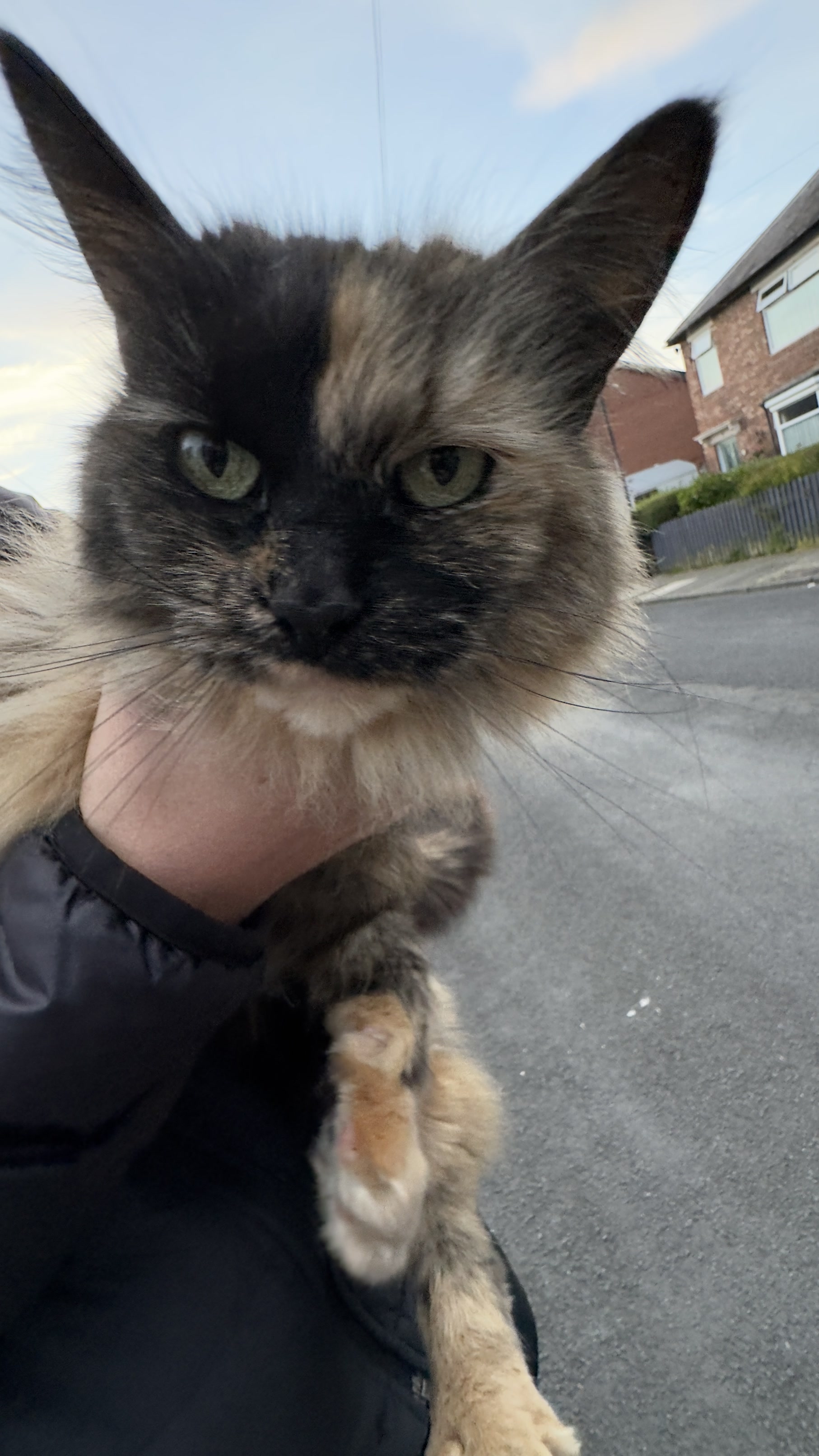 Lucy being held by my brother outside our house.